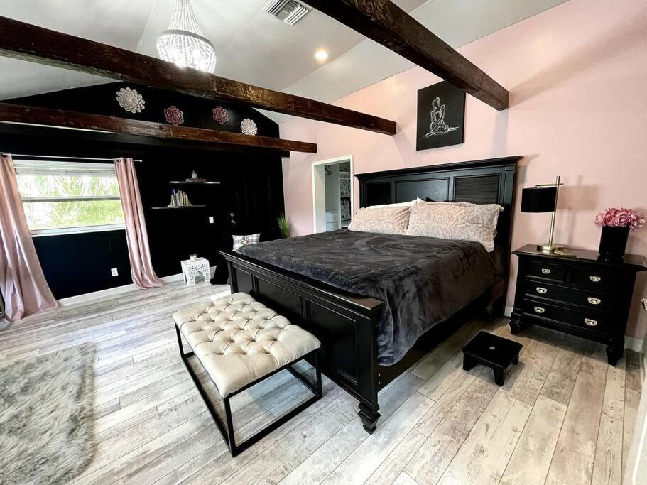 Cozy Sanctuary Minutes From The Bay And Beaches Tampa Eksteriør billede