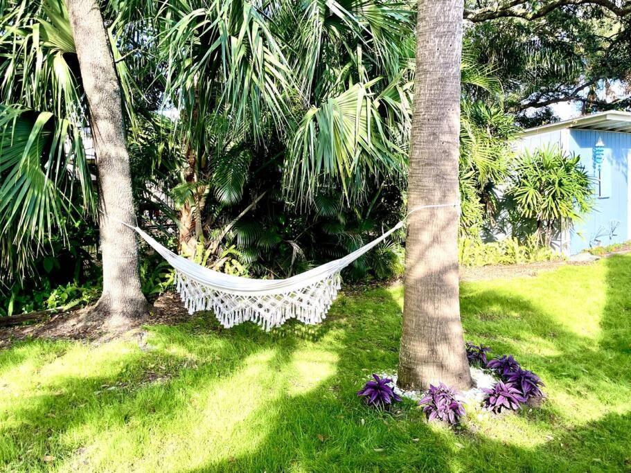 Cozy Sanctuary Minutes From The Bay And Beaches Tampa Eksteriør billede
