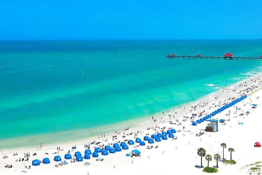 Cozy Sanctuary Minutes From The Bay And Beaches Tampa Eksteriør billede